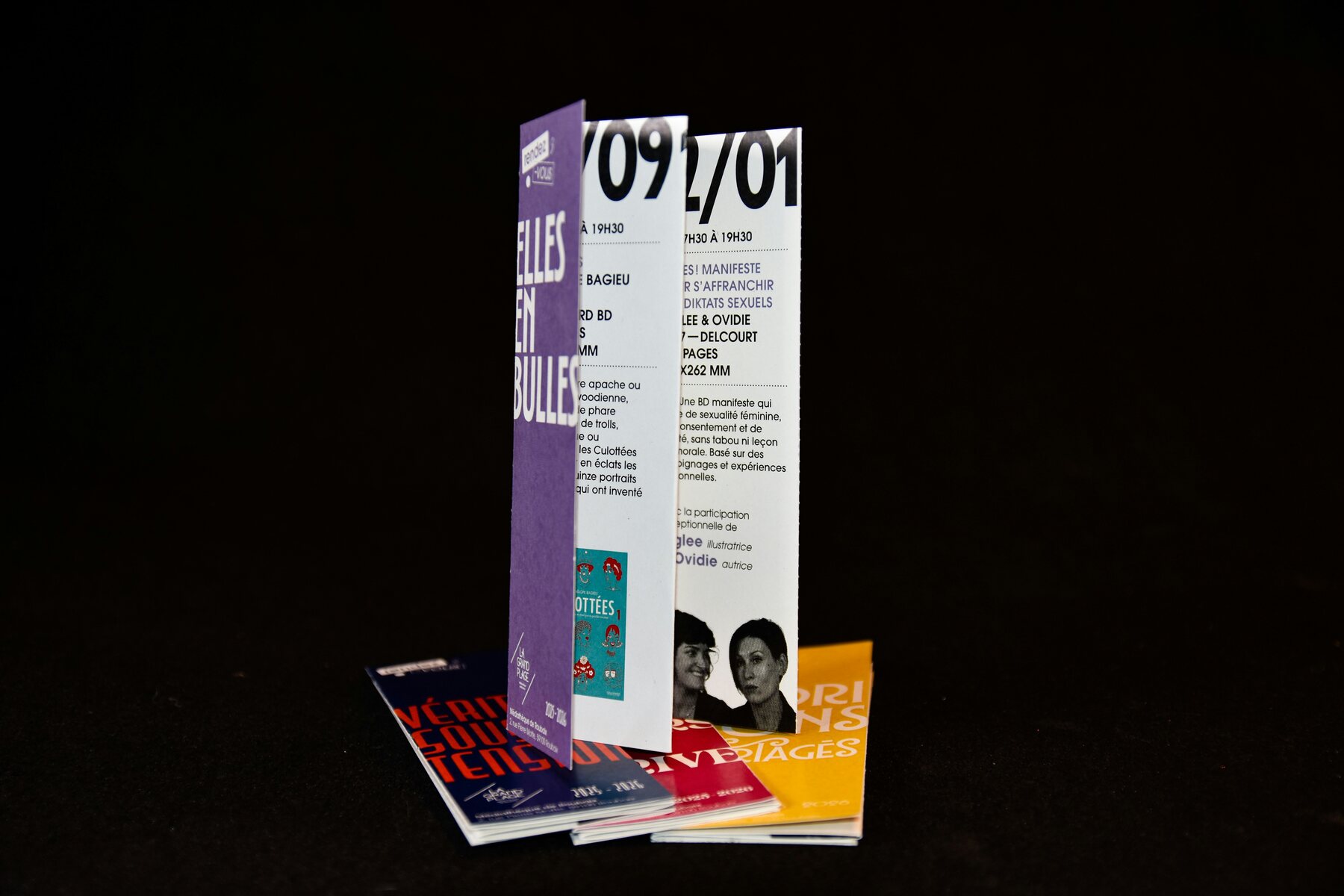 Printed trifold brochures